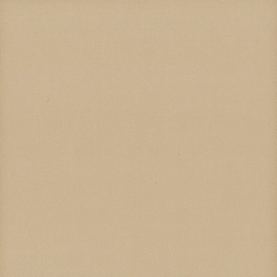 Stout ELBERT BISCUIT