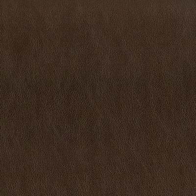 Stout ELBERT ESPRESSO