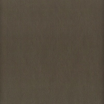 Stout ELBERT GUNMETAL