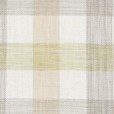 Stout ELGIN 4 CITRINE CITRINE