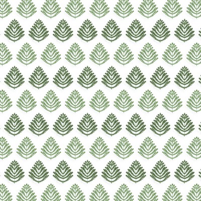 Stout ELOISE 1 SPRING