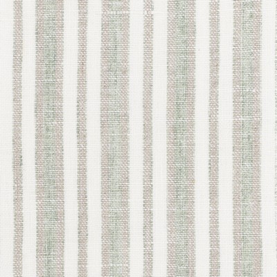 Stout ENCORE 1 CYPRESS