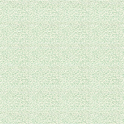 Stout ENERGY TURQUOISE