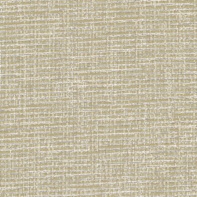 Stout EVEREST 5 PUTTY