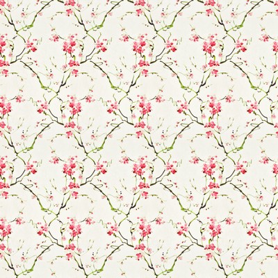 Stout FABLE RASPBERRY