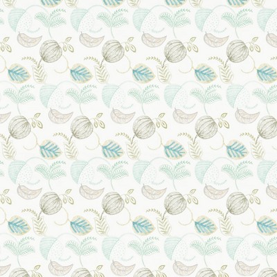 Stout FAZE SHORELINE