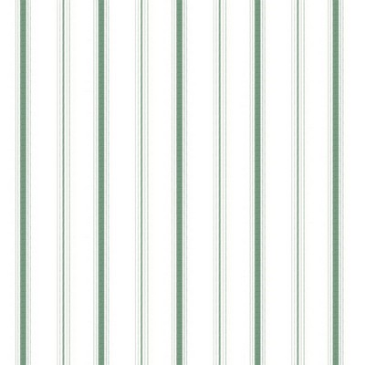 Stout FINKSBURG EVERGREEN