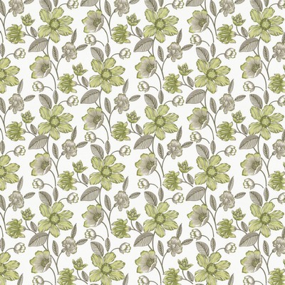 Stout FLAIR 3 BALSAM