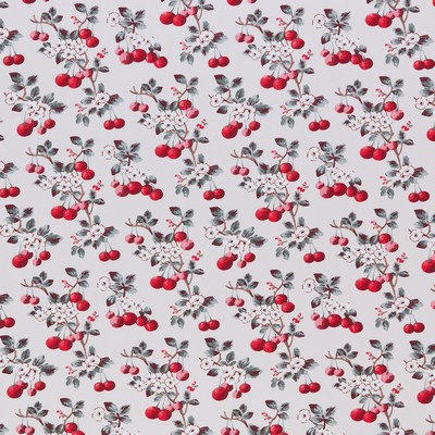 Stout FLAWLESS 1 CHERRY