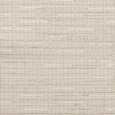 Stout FLUID MUSHROOM