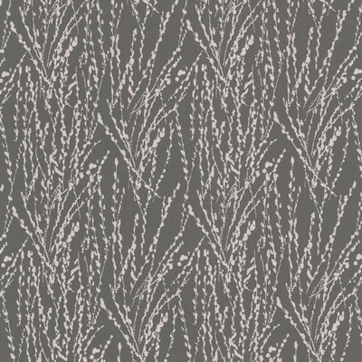 Stout FORDHAM 4 SHADOW