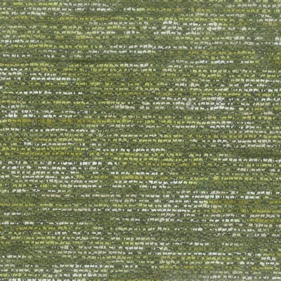 Stout FORNIX AVOCADO