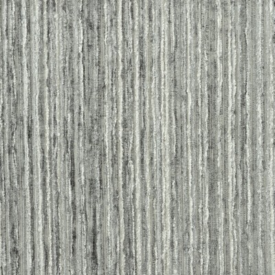 Stout FOXFIRE CHARCOAL