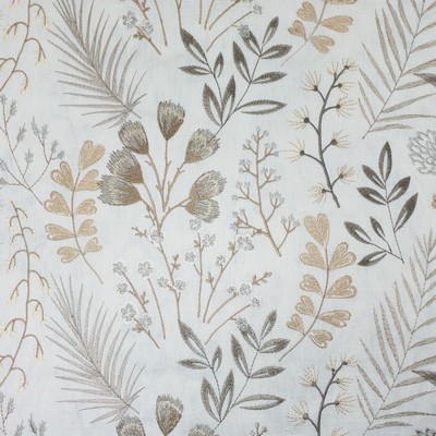 Stout FROLIC 2 DRIFTWOOD