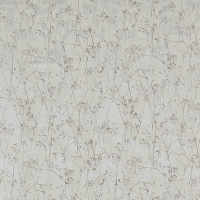 Stout FULBRIGHT BIRCH