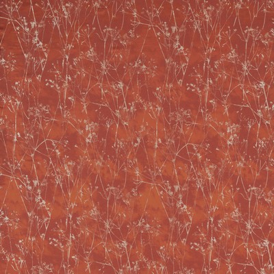 Stout FULBRIGHT CAYENNE