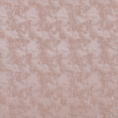 Stout FULBRIGHT TEAROSE