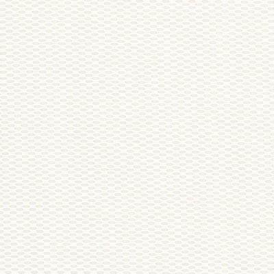 Stout FUSION 2 VANILLA