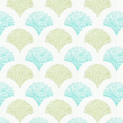 Stout GADABOUT CARIBBEAN