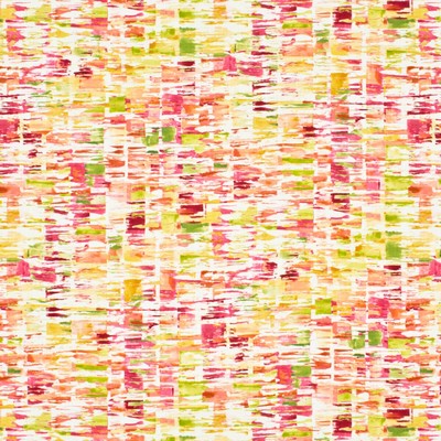 Stout GARGIULO SHOCKING