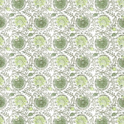 Stout GIBERTINI APPLE