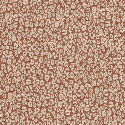 Stout HAPSBURG 1 PUNCH