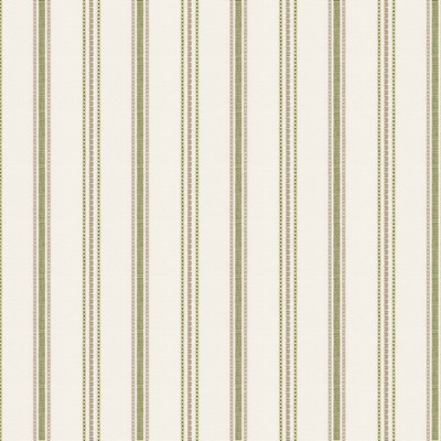 Stout HASTINGS 1 SEEDLING