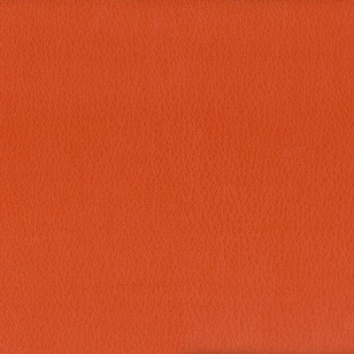 Stout HAYRIDE TIGERLILY