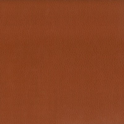 Stout HAYRIDE NUTMEG