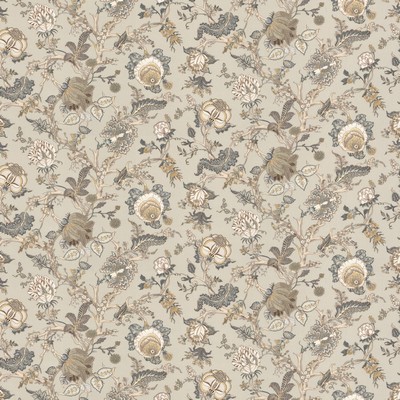 Stout HILLSBORO 1 CARBON