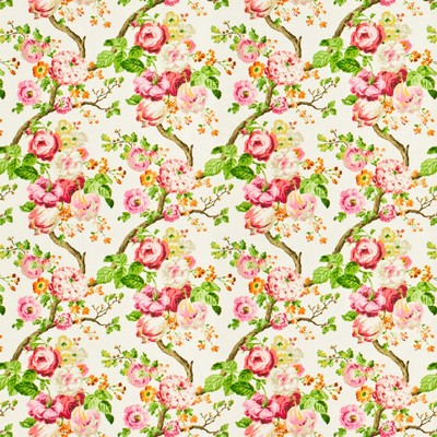 Stout HINDER RASPBERRY