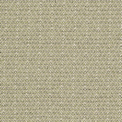 Stout HIPSTER 2 JUNGLE