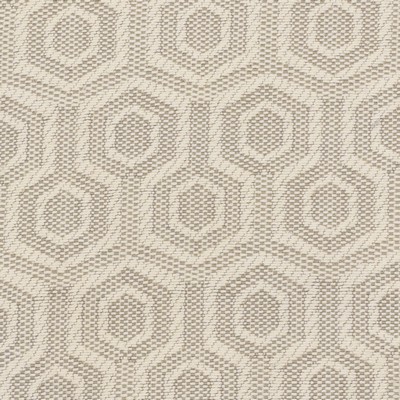 Stout HUSBAND MUSHROOM