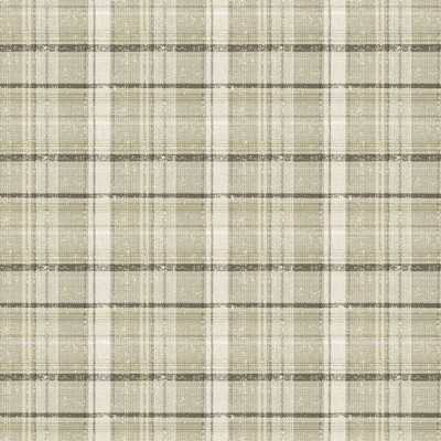 Stout IDENTITY PONGEE