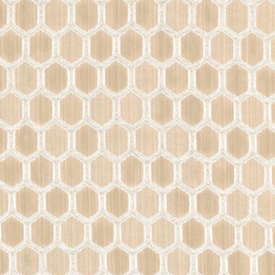 Stout ILLOGICAL 1 TOAST