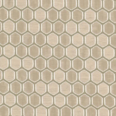 Stout ILLOGICAL 2 SMOKE