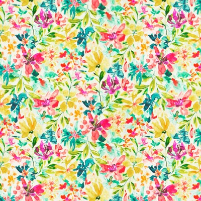 Stout IMRAN CARIBBEAN