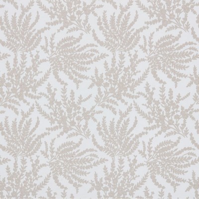 Stout INSTRUCTOR MUSHROOM