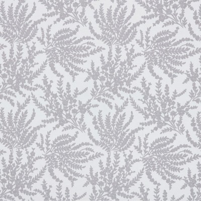 Stout INSTRUCTOR ASH