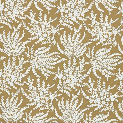 Stout INSTRUCTOR ANTIQUE