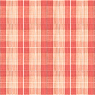 Stout INVADE 1 PUNCH