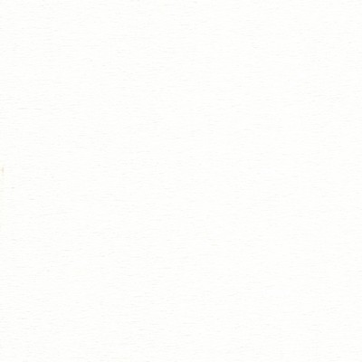 Stout IVYHILL 2 BLEACH