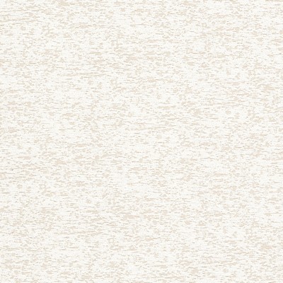 Stout IVYHILL 3 SHELL