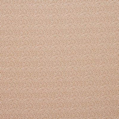 Stout JAKARTA CHESTNUT