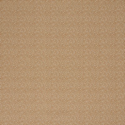 Stout JAKARTA NUGGET