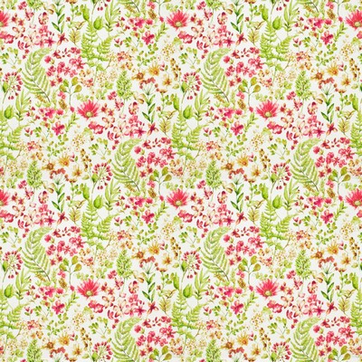 JARRETTSVILLE RASPBERRY Stout JARRETTSVILLE RASPBERRY