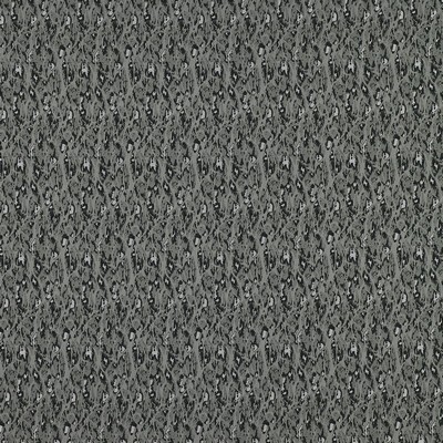 Stout JASPER DEWKIST