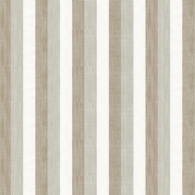 Stout JOHN 4 MUSHROOM