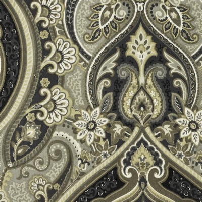 Stout KINETICS GRAPHITE