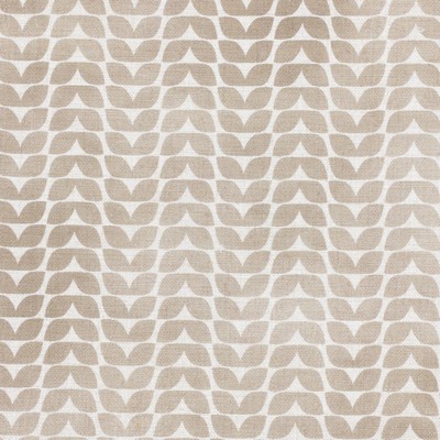 Stout KNOLL 1 SANDALWOOD